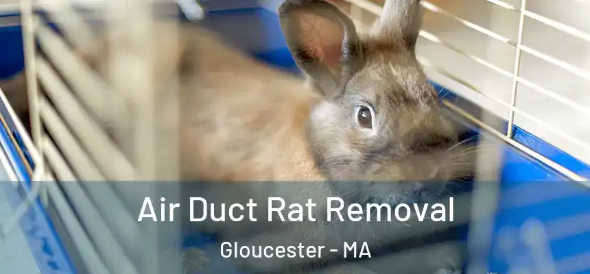 Air Duct Rat Removal Gloucester - MA