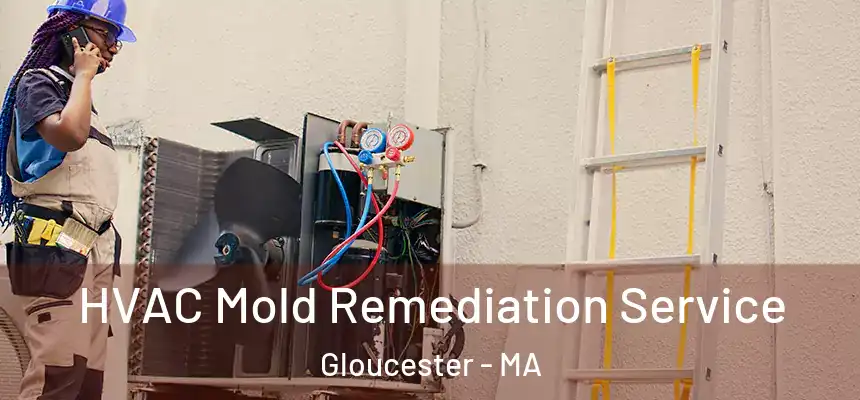HVAC Mold Remediation Service Gloucester - MA