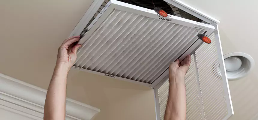 Preventive Cockroach-Proofing for Ducts in Gloucester