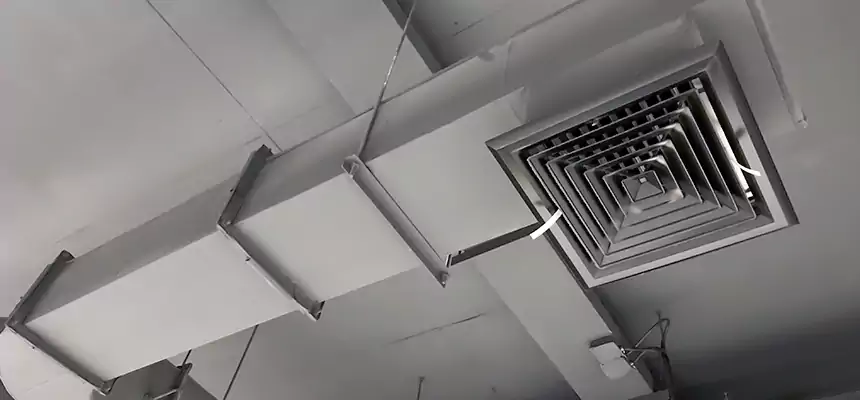 Our Pest Removal From Ducts Services in Gloucester, MA