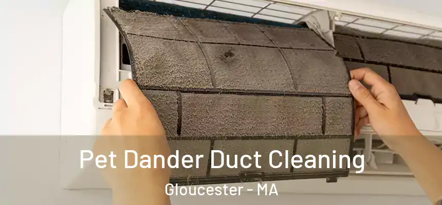 Pet Dander Duct Cleaning Gloucester - MA