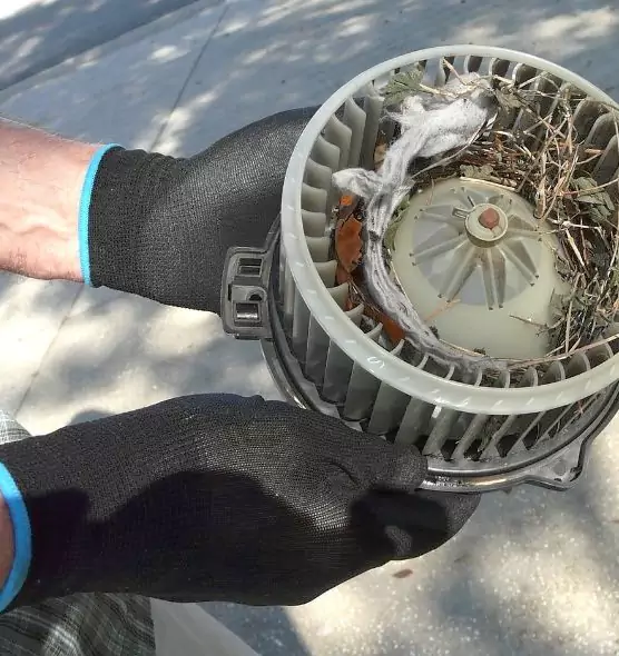 About Air Duct Mice Removal in Gloucester, MA