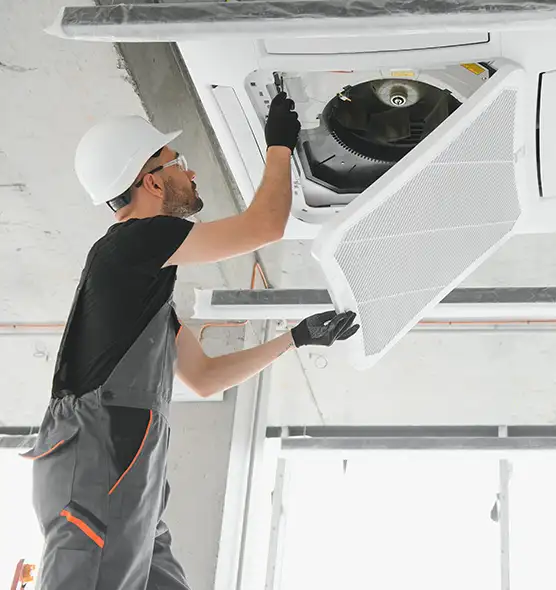 About Air Duct Rodent Removal in Gloucester, MA