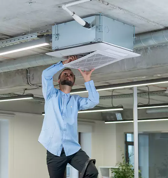Advanced Rodent Droppings In Vents in Gloucester, MA