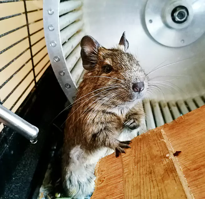 Why Homeowners & Businesses Trust Us Gloucester, MA?