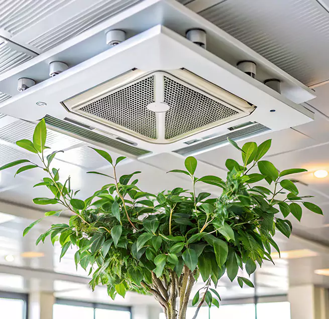 Why Homeowners & Businesses Trust Us in Gloucester, MA?