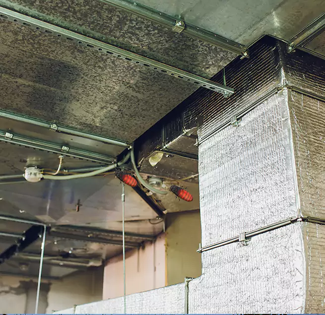 Why Homeowners & Businesses Trust Us Gloucester, MA?