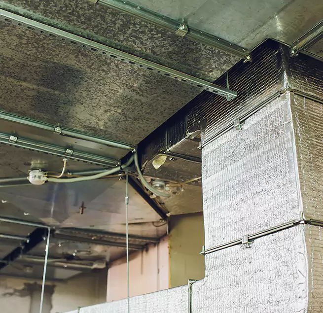 Why Homeowners & Businesses Trust Us in Gloucester, MA?